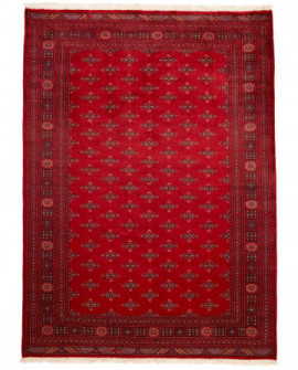 Rytietiškas kilimas 2 Ply - 301 x 219 cm 