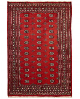 Rytietiškas kilimas 2 Ply - 305 x 204 cm 