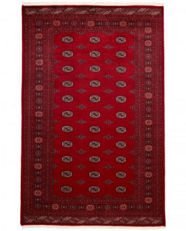 Rytietiškas kilimas 2 Ply - 309 x 200 cm 