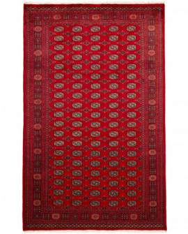 Rytietiškas kilimas 2 Ply - 315 x 198 cm 