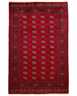 Rytietiškas kilimas 2 Ply - 308 x 201 cm 