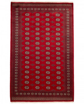 Rytietiškas kilimas 2 Ply - 316 x 201 cm 