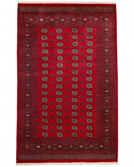 Rytietiškas kilimas 2 Ply - 315 x 205 cm 