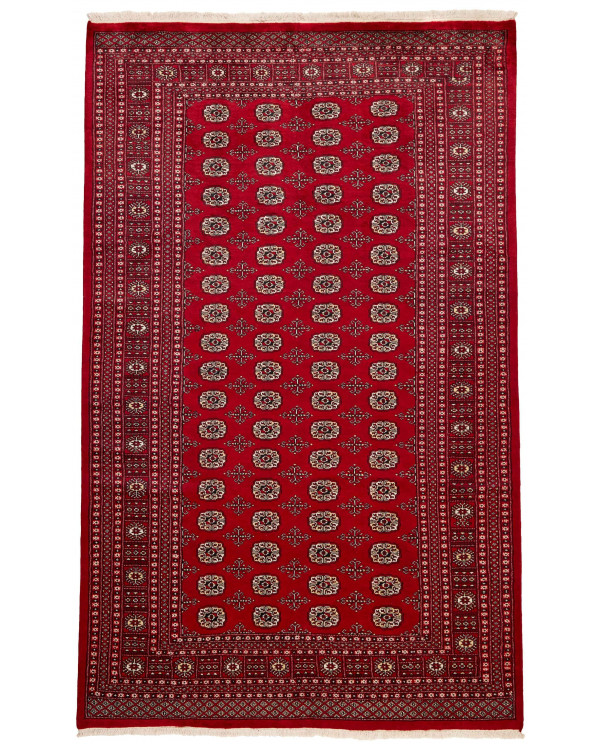 Rytietiškas kilimas 2 Ply - 314 x 195 cm 