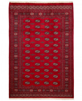 Rytietiškas kilimas 2 Ply - 294 x 196 cm 