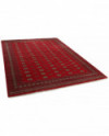 Rytietiškas kilimas 2 Ply - 423 x 306 cm