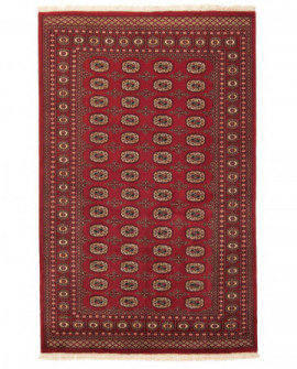 Rytietiškas kilimas 2 Ply - 265 x 170 cm 