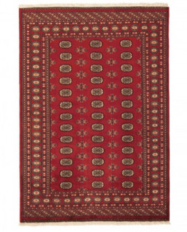 Rytietiškas kilimas 2 Ply - 252 x 176 cm 