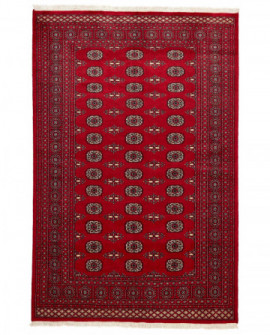 Rytietiškas kilimas 2 Ply - 250 x 165 cm 