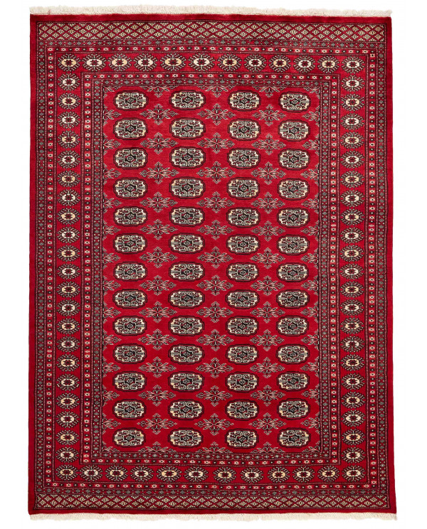 Rytietiškas kilimas 2 Ply - 227 x 165 cm 