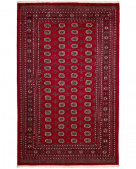 Rytietiškas kilimas 2 Ply - 322 x 198 cm 