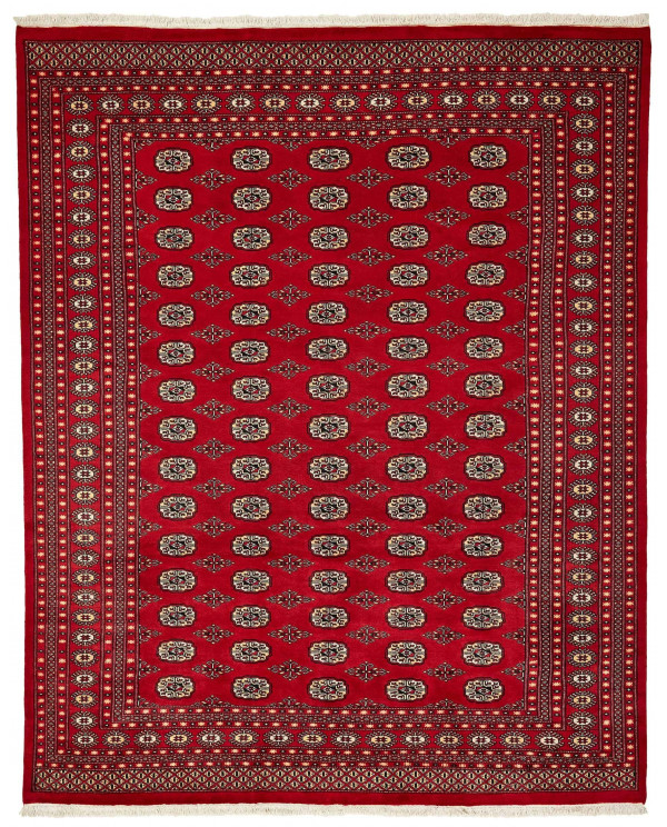 Rytietiškas kilimas 2 Ply - 310 x 248 cm 