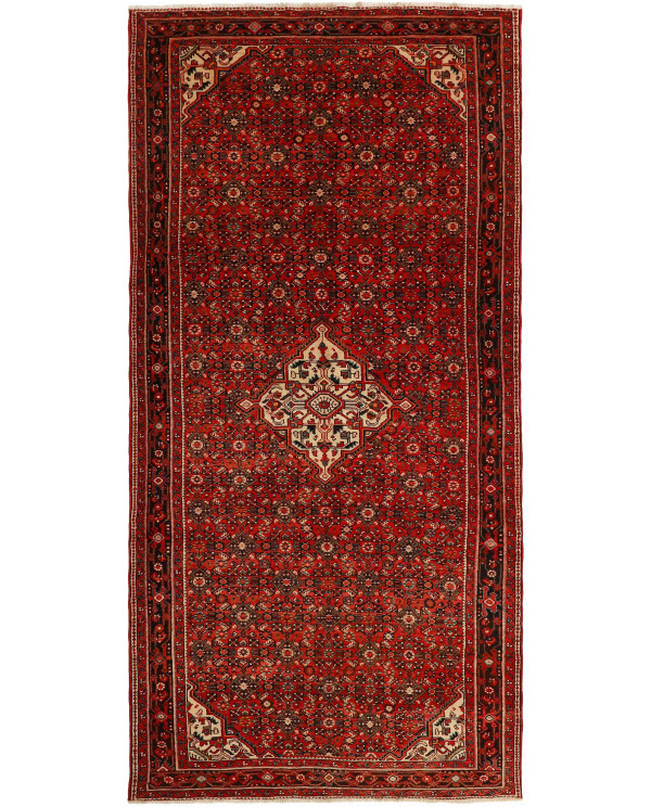 Rytietiškas kilimas Hosseinabad - 335 x 160 cm 