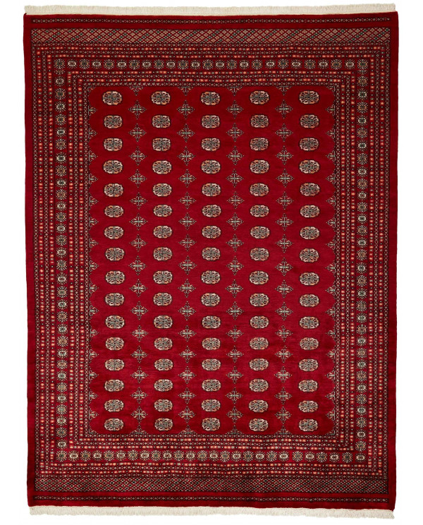 Rytietiškas kilimas 3 Ply - 338 x 255 cm 