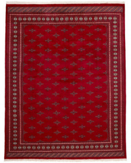 Rytietiškas kilimas 2 Ply - 359 x 279 cm 