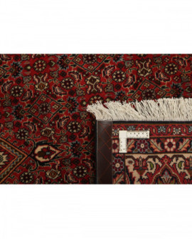 Rytietiškas kilimas Bidjar Zandjan - 300 x 198 cm 