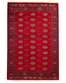 Rytietiškas kilimas 2 Ply - 249 x 168 cm 