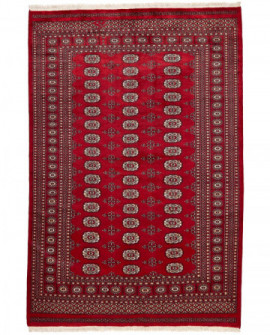 Rytietiškas kilimas 2 Ply - 251 x 169 cm 