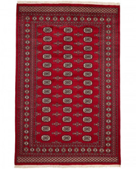 Rytietiškas kilimas 2 Ply - 257 x 171 cm 