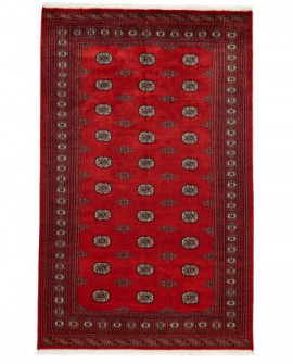 Rytietiškas kilimas 2 Ply - 257 x 169 cm 