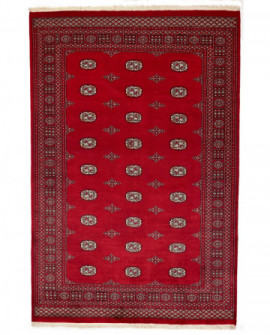 Rytietiškas kilimas 2 Ply - 284 x 188 cm 