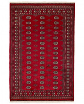 Rytietiškas kilimas 2 Ply - 283 x 187 cm 