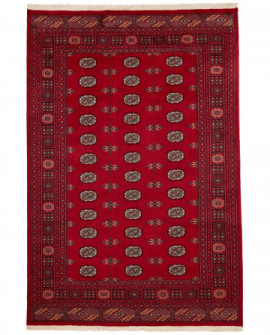 Rytietiškas kilimas 2 Ply - 266 x 179 cm 