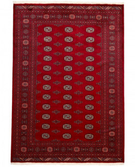 Rytietiškas kilimas 2 Ply - 270 x 189 cm 
