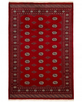 Rytietiškas kilimas 2 Ply - 277 x 186 cm 
