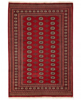 Rytietiškas kilimas 2 Ply - 271 x 186 cm 