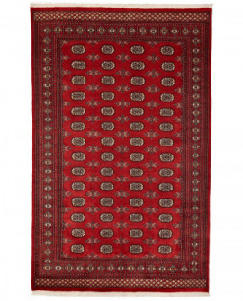 Rytietiškas kilimas 2 Ply - 288 x 180 cm 