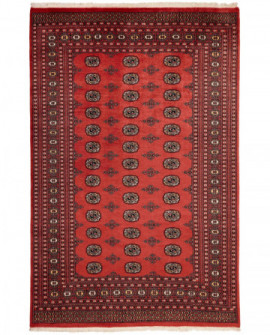 Rytietiškas kilimas 2 Ply - 291 x 185 cm 