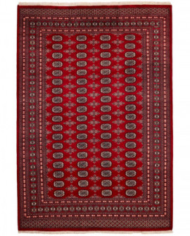 Rytietiškas kilimas 2 Ply - 305 x 207 cm 