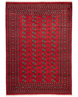 Rytietiškas kilimas 2 Ply - 310 x 217 cm 