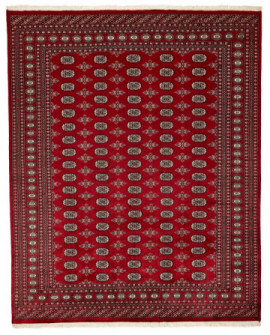 Rytietiškas kilimas 2 Ply - 304 x 245 cm 