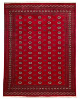Rytietiškas kilimas 2 Ply - 364 x 278 cm 