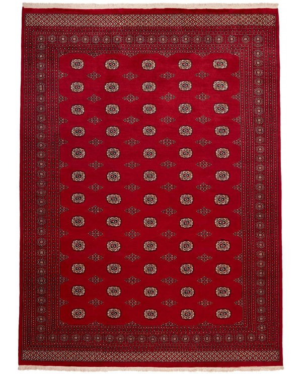 Rytietiškas kilimas 2 Ply - 376 x 274 cm 