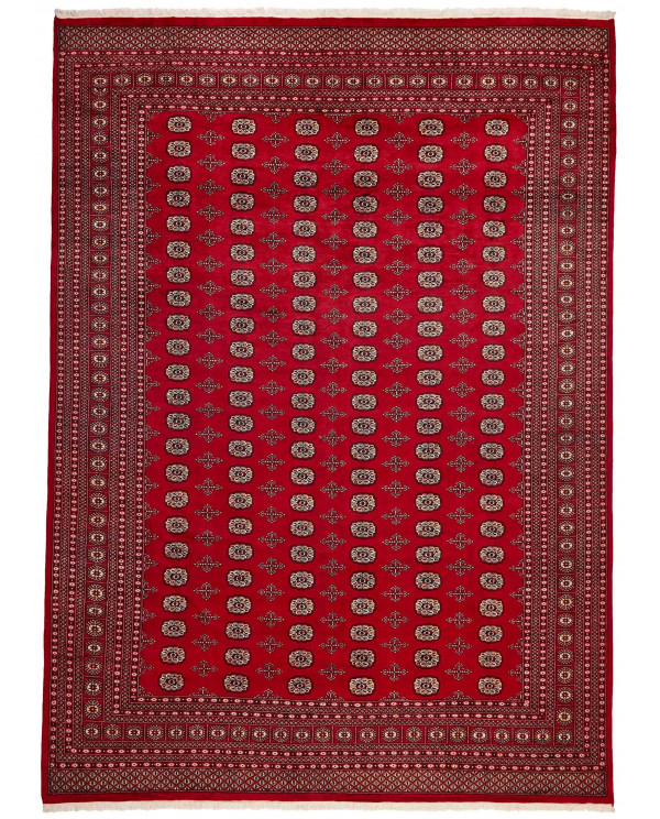 Rytietiškas kilimas 2 Ply - 428 x 308 cm 