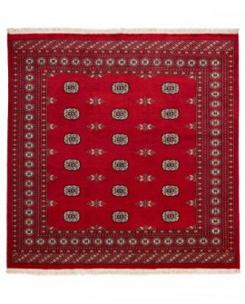 Rytietiškas kilimas 2 Ply - 205 x 201 cm 