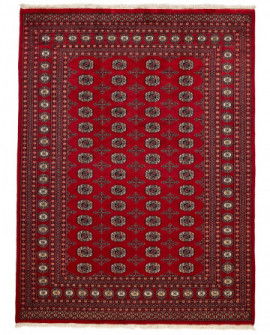 Rytietiškas kilimas 2 Ply - 259 x 199 cm 