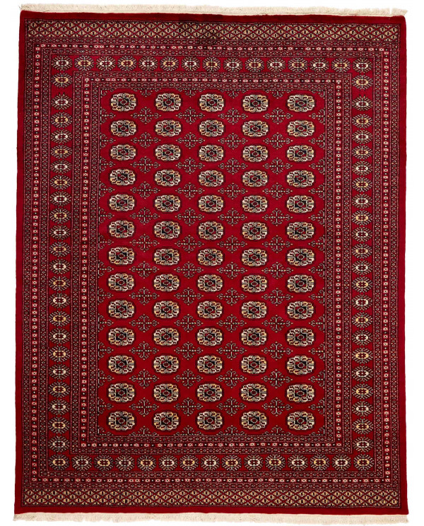 Rytietiškas kilimas 2 Ply - 256 x 199 cm 
