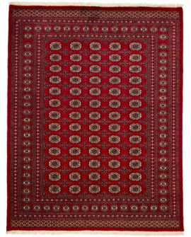 Rytietiškas kilimas 2 Ply - 256 x 199 cm 