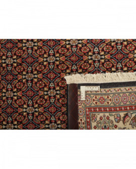 Rytietiškas kilimas Moud Mahi - 238 x 164 cm 