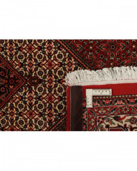 Rytietiškas kilimas Bidjar Fine Silk - 217 x 155 cm 