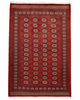 Rytietiškas kilimas 2 Ply - 253 x 170 cm 