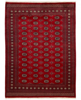 Rytietiškas kilimas 2 Ply - 276 x 201 cm 