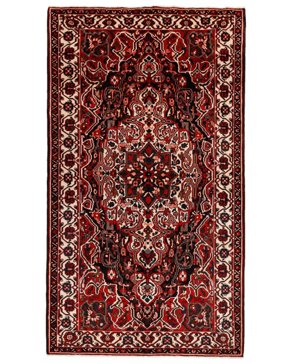 Rytietiškas kilimas Bakhtiyar - 309 x 170 cm 