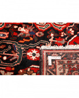 Rytietiškas kilimas Bakhtiyar - 309 x 170 cm 