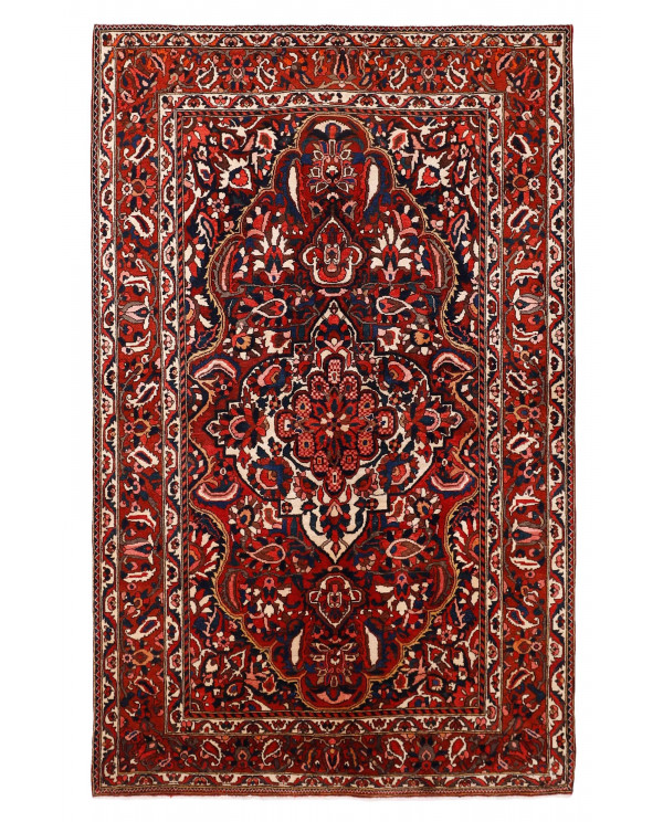 Rytietiškas kilimas Bakhtiyar - 258 x 160 cm 