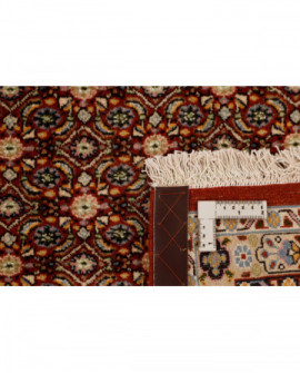 Rytietiškas kilimas Moud Mahi - 296 x 243 cm 
